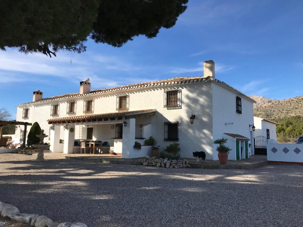 B&B Cortijo El Ciruelo Chirivel Esterno foto