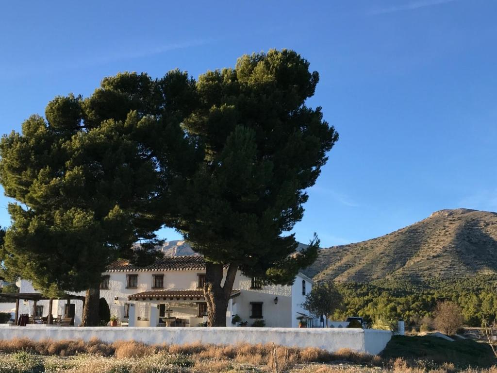 B&B Cortijo El Ciruelo Chirivel Esterno foto